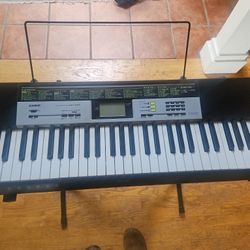 Casio LK-135 Electronic Piano 