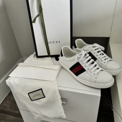 Gucci Tenni Shoes