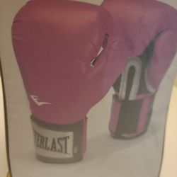 Everlast Training Boxing Gloves..pink