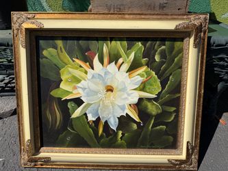Framed Night Blooming Cactus Canvas Art – Pamela Outlaw Sarkisian Floral Painting