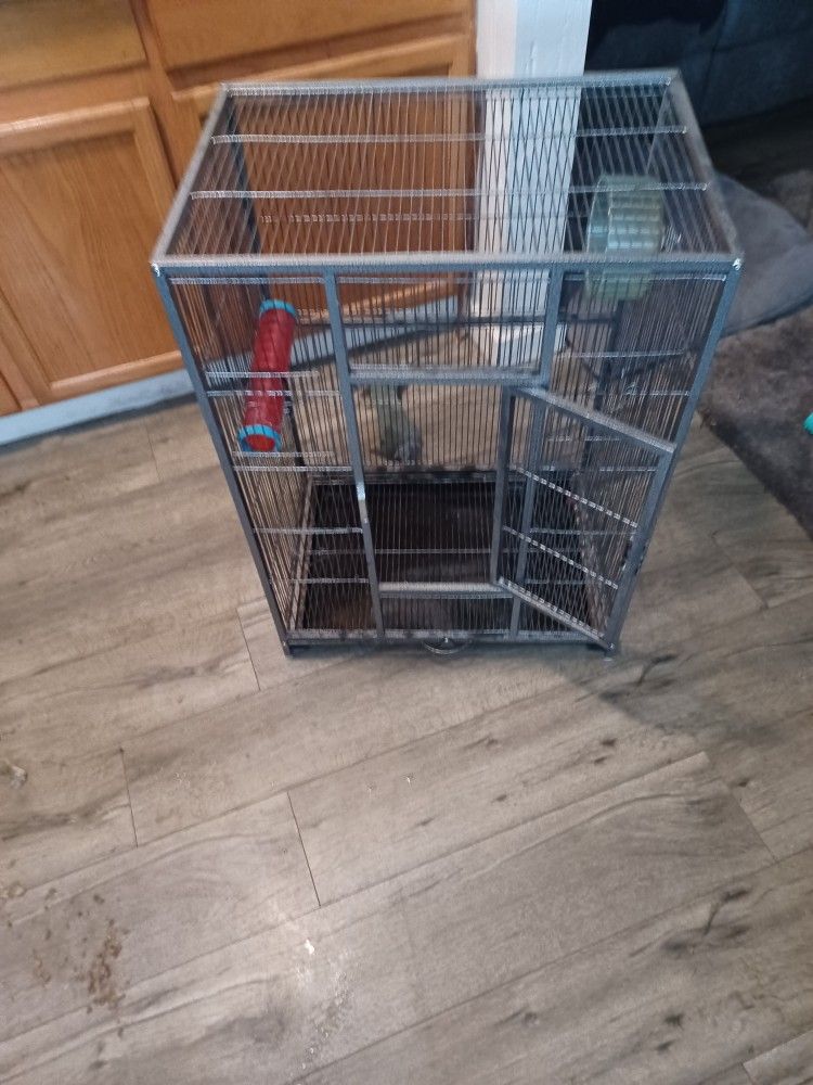 Bird Cage