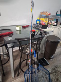 3 Kids fishing poles with fishing net  60$