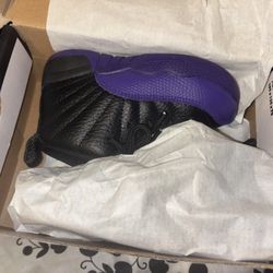 Jordans 12s
