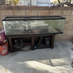 Fish Tank 100ish gallons 