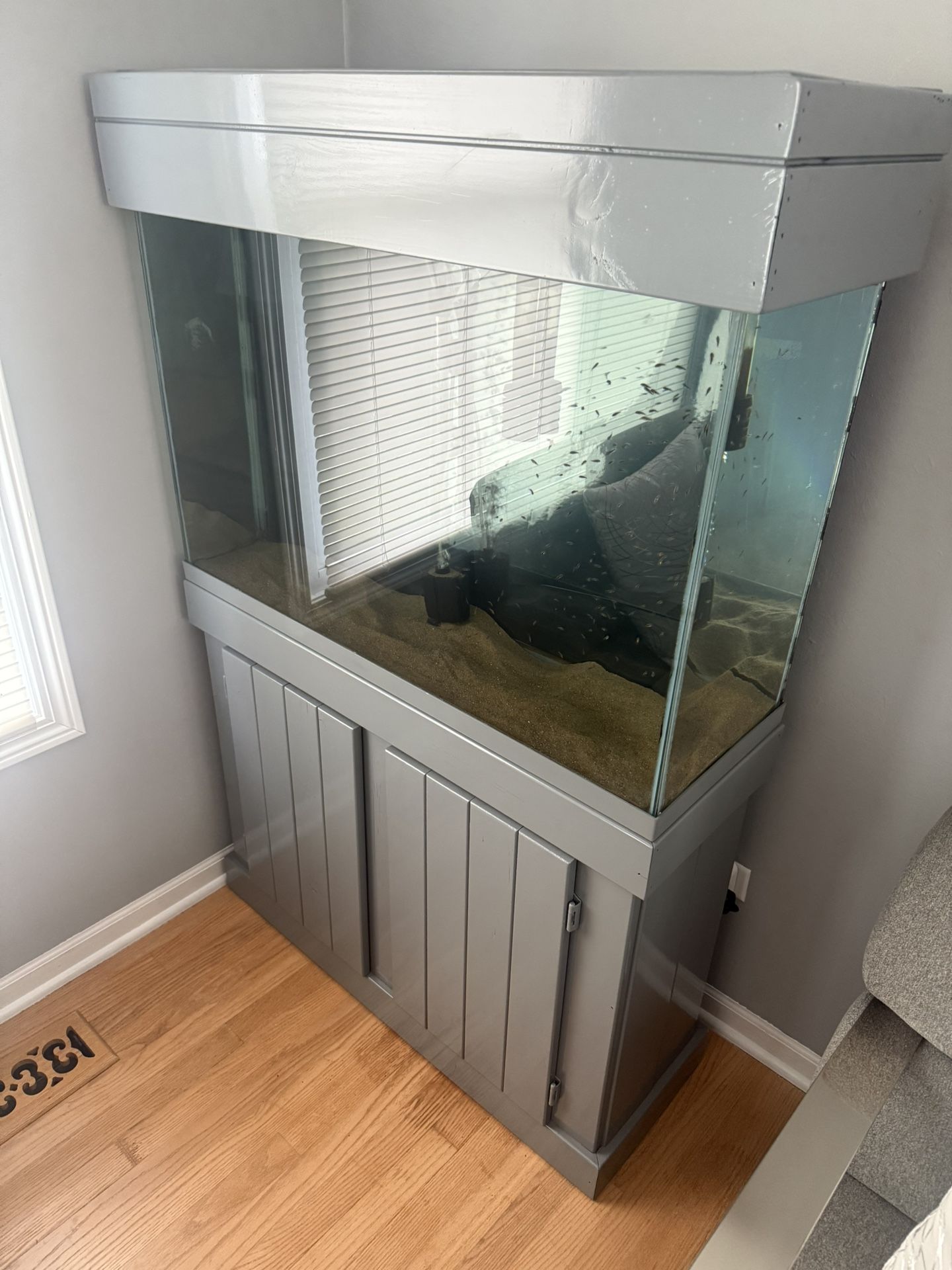 37 Gallon Fish tank / Aquarium