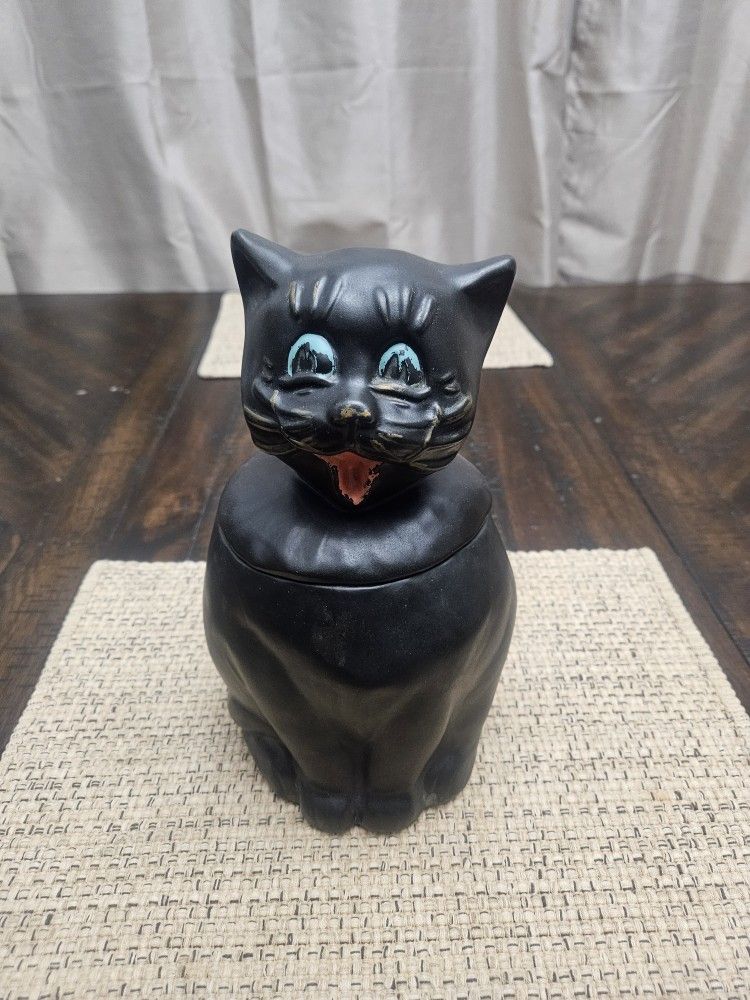 Mccoy Colby Cat Mccoy