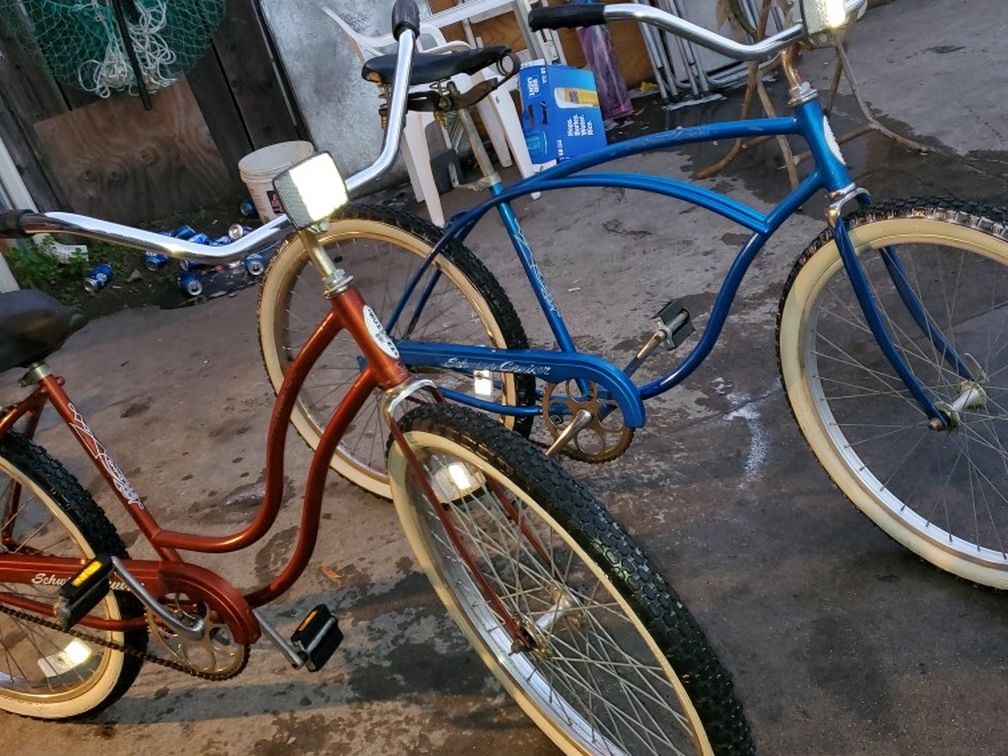 Schwinn Cruiser