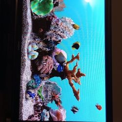 '42 inch Insignia Tv with Roku Stick $50 OBO