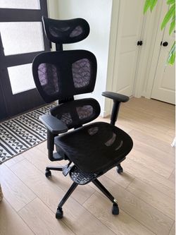 Ergonomic Office Chair