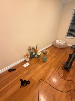 FREE STUFF