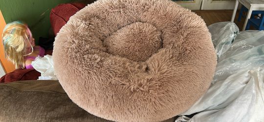 Small Dog Bed