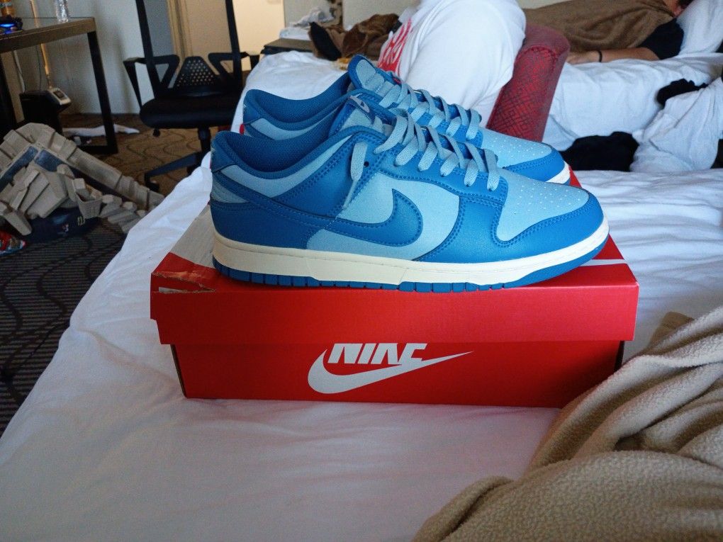 Nike Dunk Low Retoro