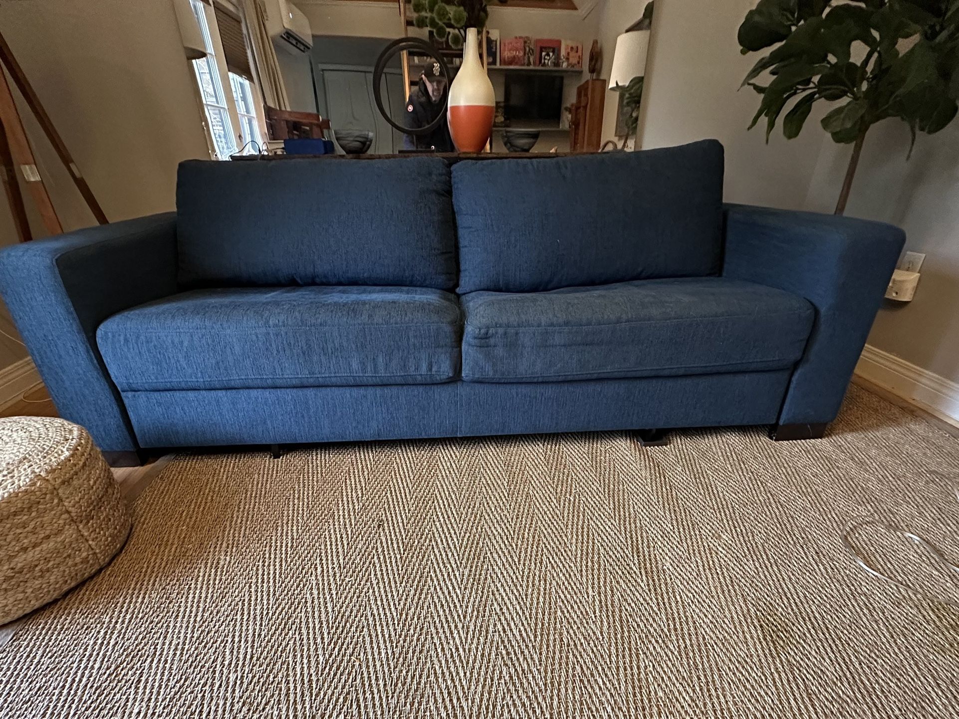 Kasala Sofa  (Free!)