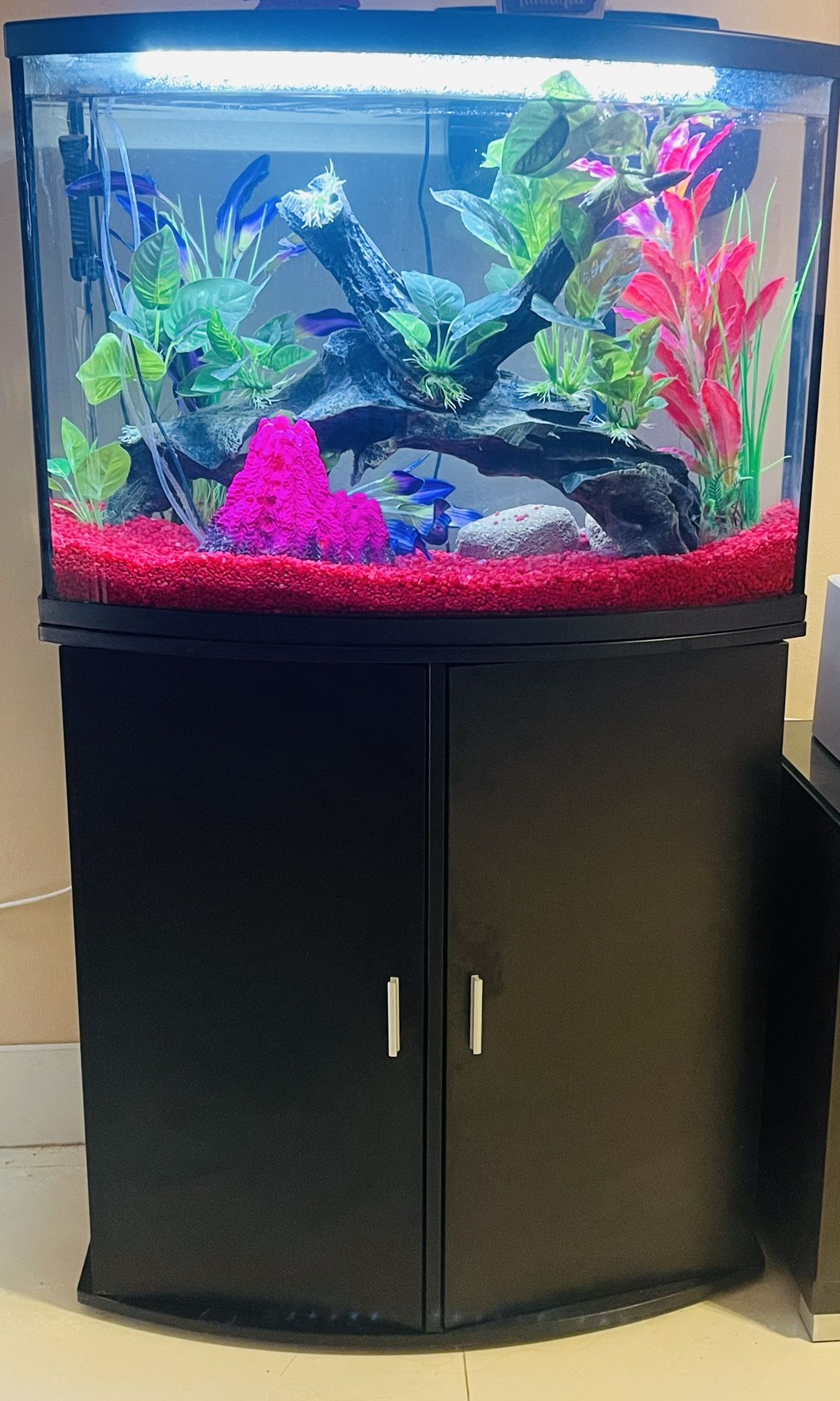 Top Fin Bowfront Aquarium & Stand Ensemble - 36 Gallon EVERYTHING YOU SEE IS INCLUDED