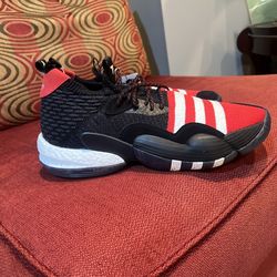 Adidas Trae Young size 10.5