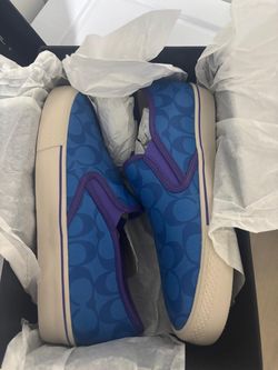 Coach blue skater shoes