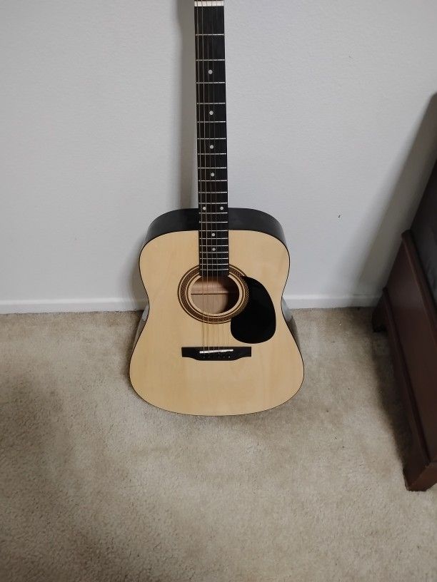 Rogue Guitar w/ D'Addarío Strings