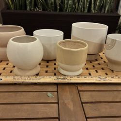 Plant Pots