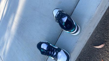 nike dunk size 10