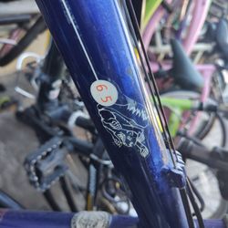 Dx 65 Men's Mongoose 21 Speed Aluminum 