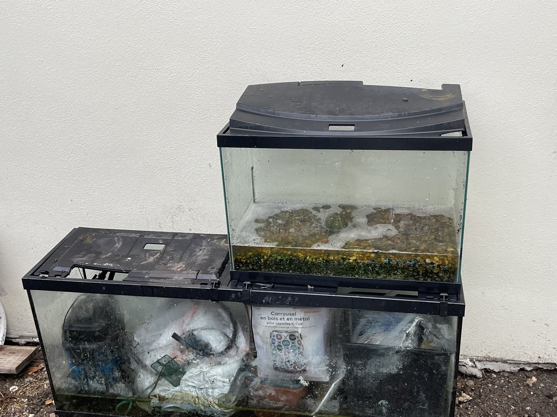 Peceras