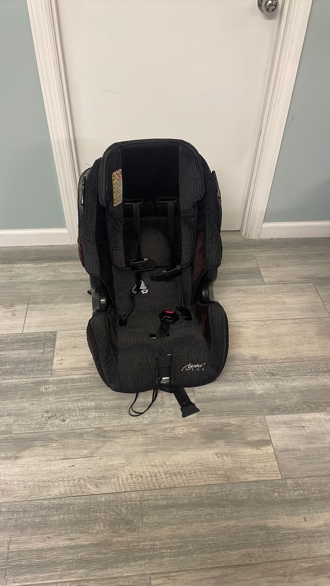 Toddler car seat