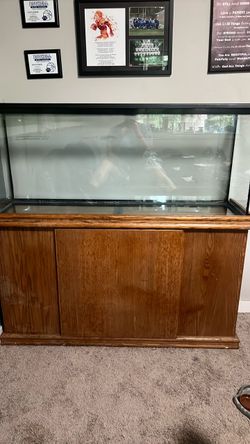 Fish/Lizard Tank With Stand