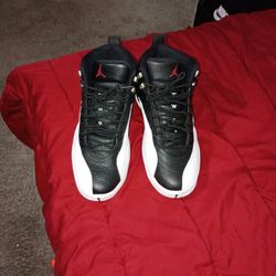 Jordan 12 Size 11