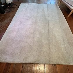 Indoor Rug 