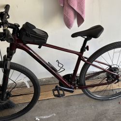 Giant Bike Size Small 