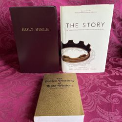 Lot of 3 Religious Books: Holy Bible, Bible Wisdom and The Story: The Bible as One Continuing Story of God and His People