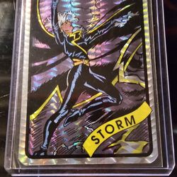 1990 Storm Sticker 