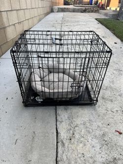 Dog Crate Puppy Crate