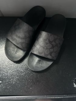 Coach slides