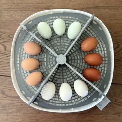 🐣🐥Nature Right 360 Incubator Egg Tray Dividers🥚🐣🐥