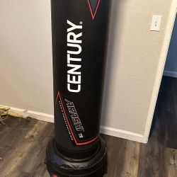 Punching Bag 