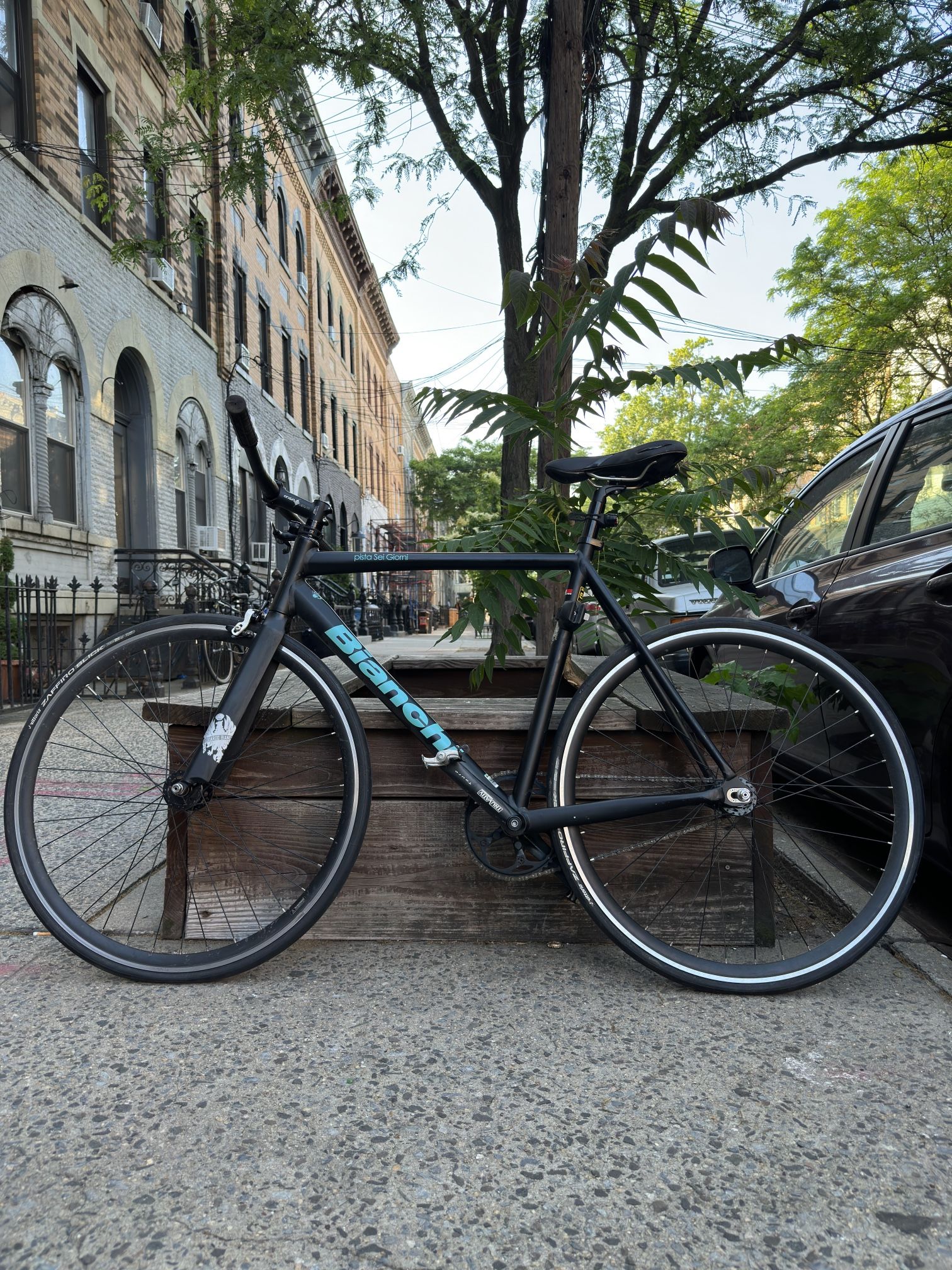 Bianchi pista Sei Giorni Fixed