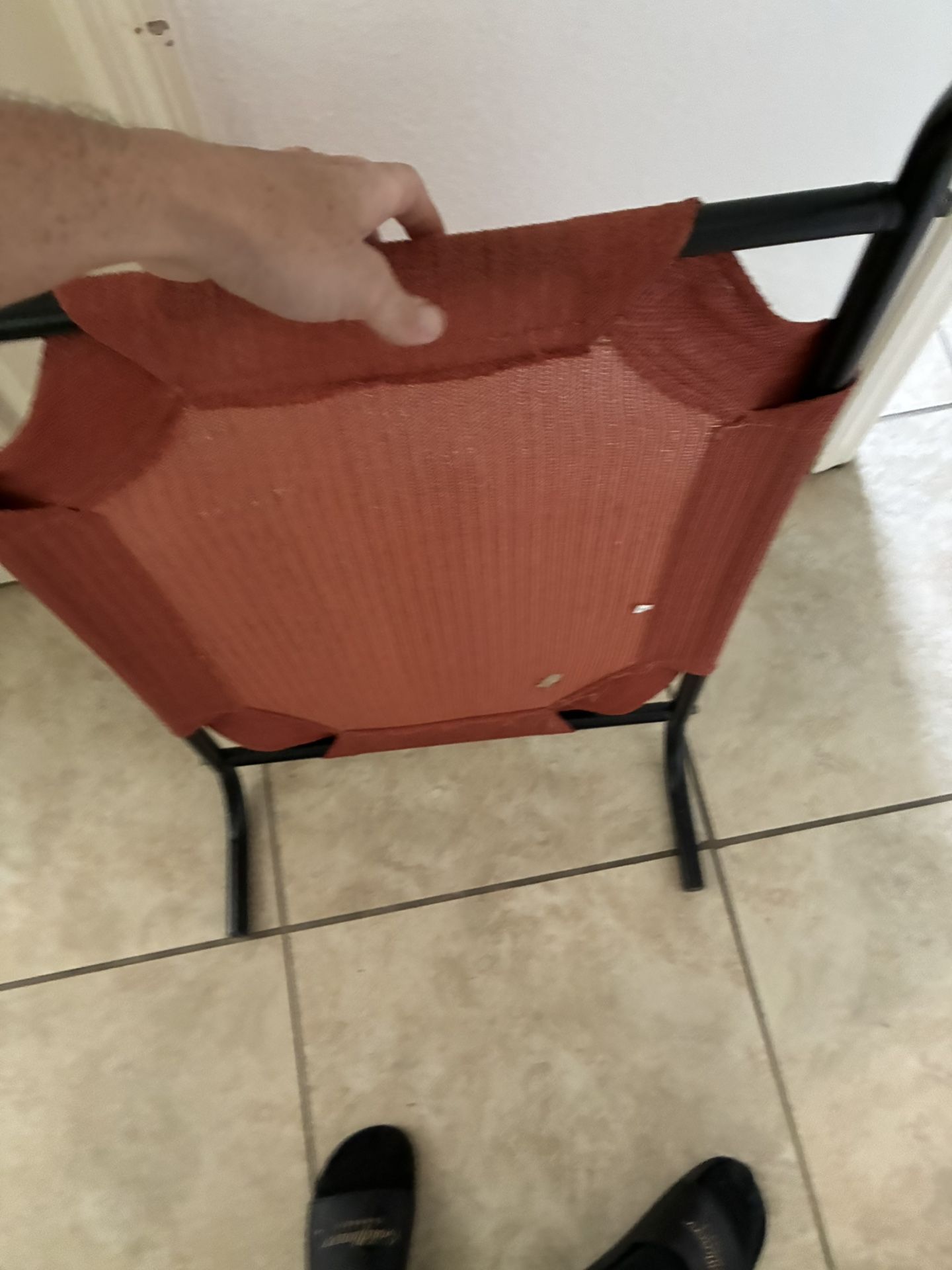 Dog Bed Elevated