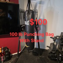 100 Lb Everlast Punching Bag With Stand