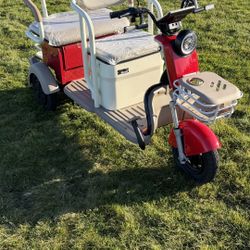 Golf Cart / Tricycle / Mobility Scooter 