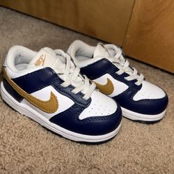 Toddler Nike Dunk Low Casual Shoes 7c
