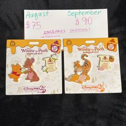 Winnie The Pooh Pin Set