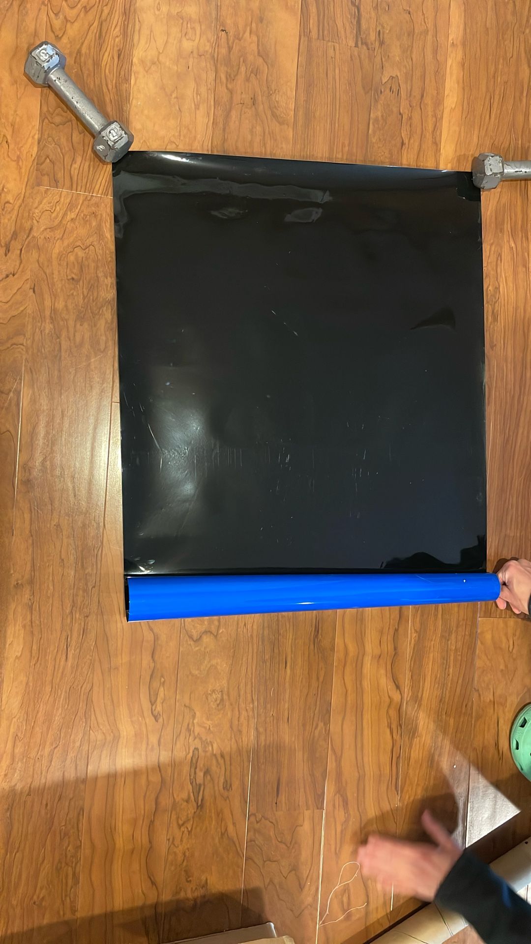 Fish Tank Background, 32 x 23 inches