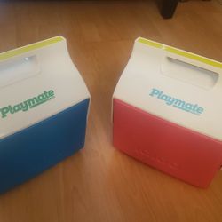 Playmate Igloo Cooler 