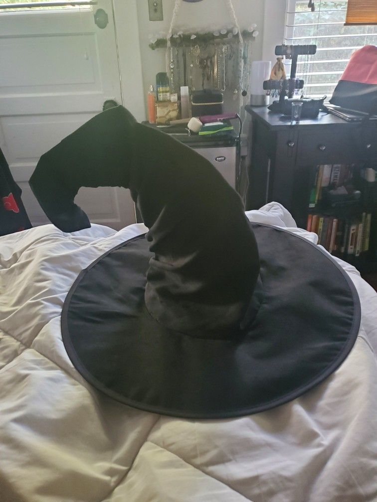 Witches Hat Halloween