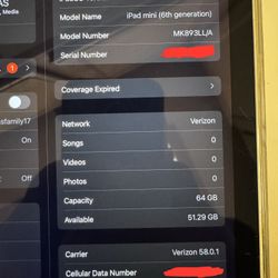 Ipad Mini 6th Gen + Cellular 64gb