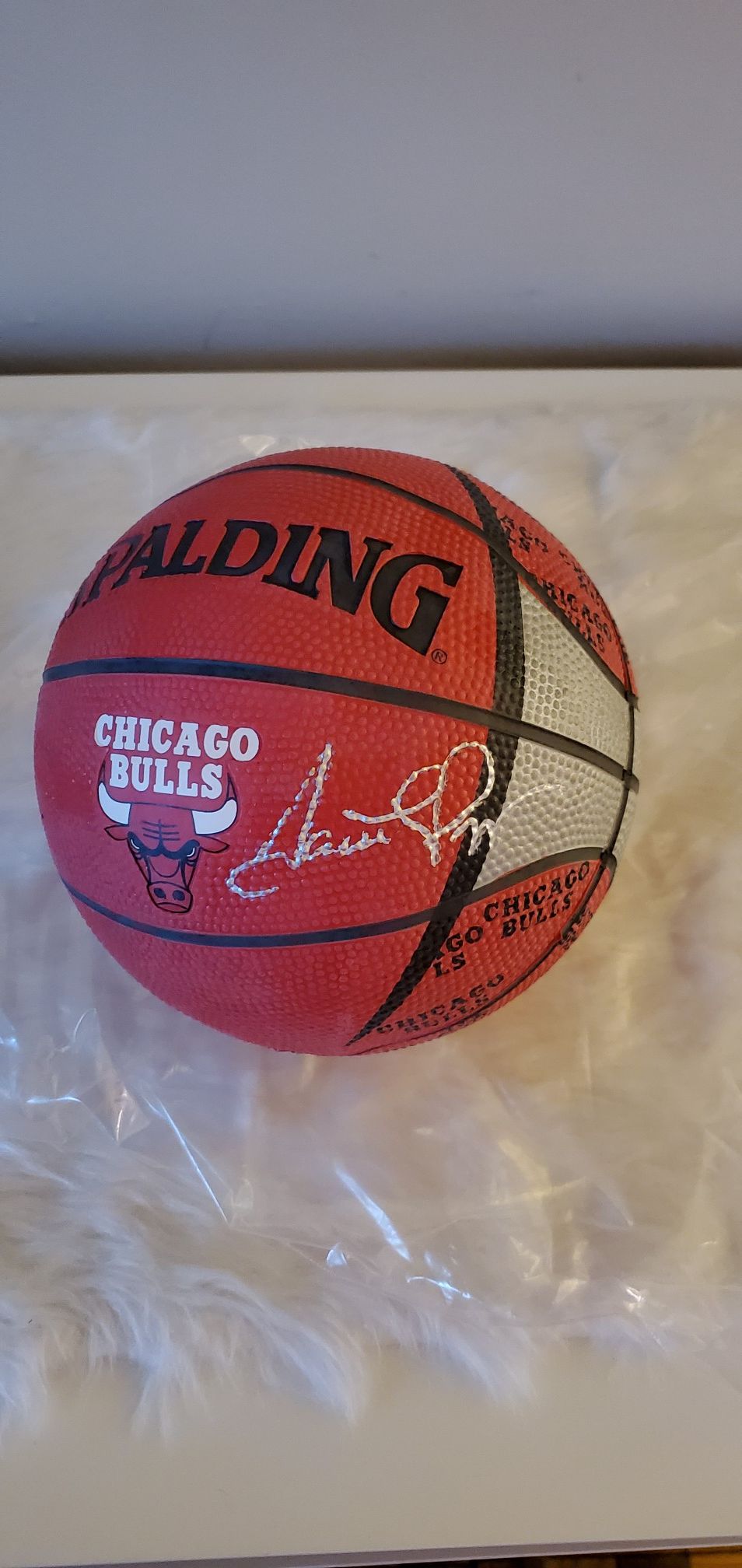 Scottie Pippen Autographed Mini Basketball with COA