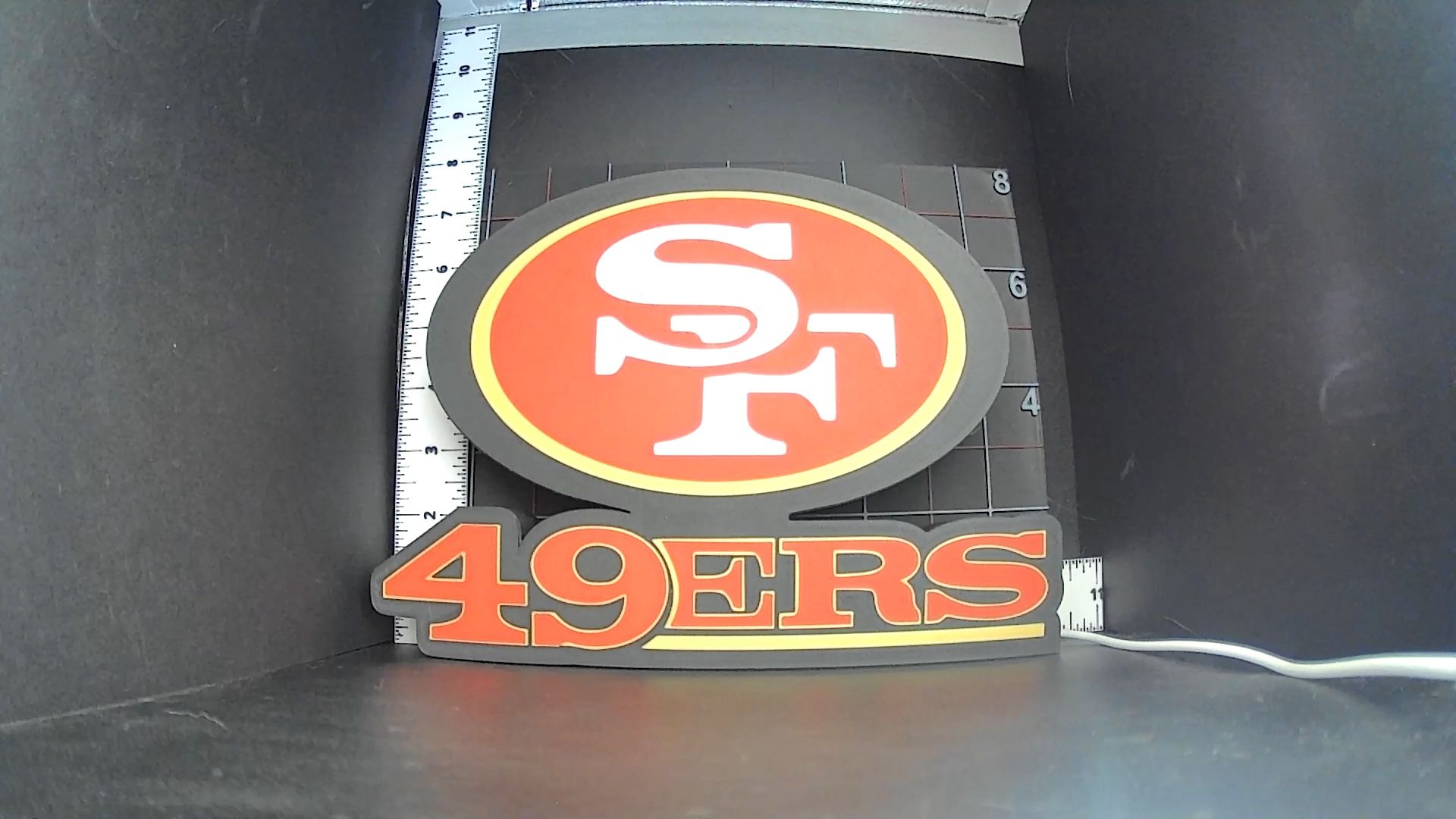 San Francisco 49ers Lightbox