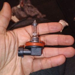 H16 Light Bulb 