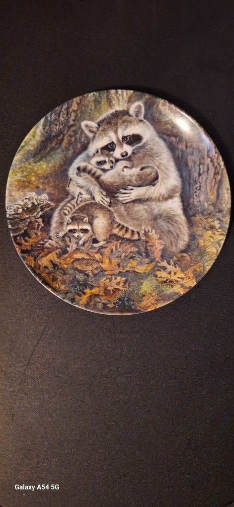 1982 River Shore Ltd Collectible Plate "A PROTECTIVE EMBRACE" Features 2 Racoons Embracing Each Other
